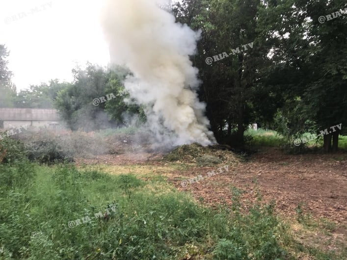 Пожар в парке Горького