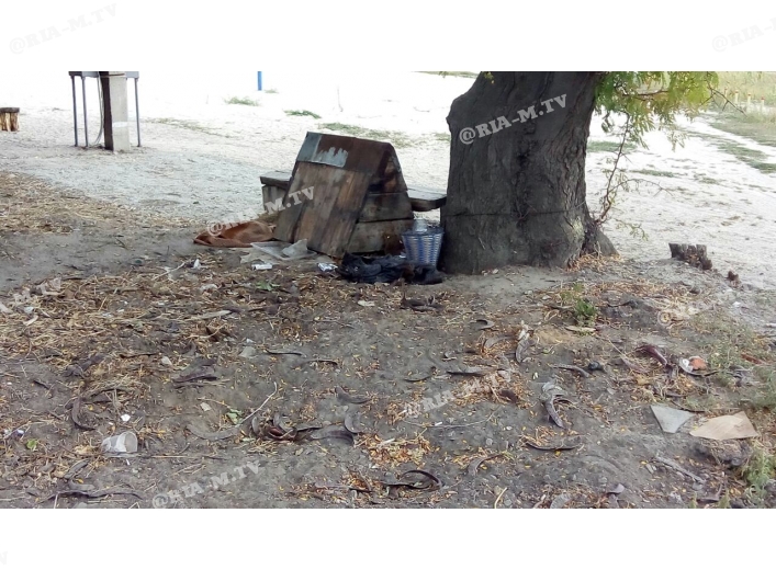 Горячка, свалка мусора возле урны