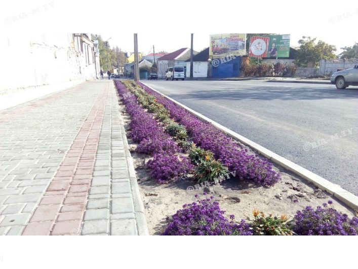 Цветы высадили вдоль дороги