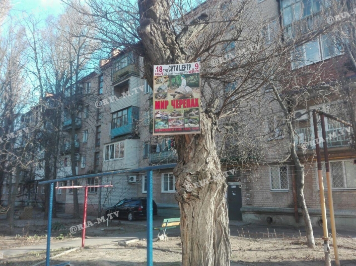 Рекламу развесели на дереве