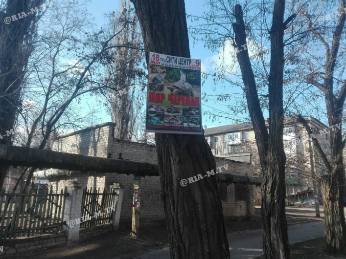 Рекламу развесели на дереве