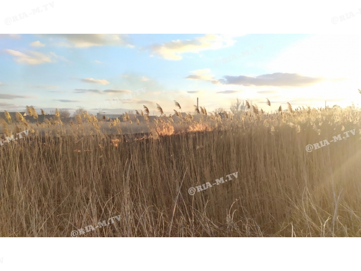 Пожар в поле, горит трава