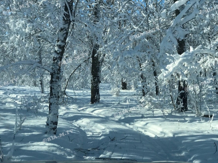 Лесопарк в снегу, красота