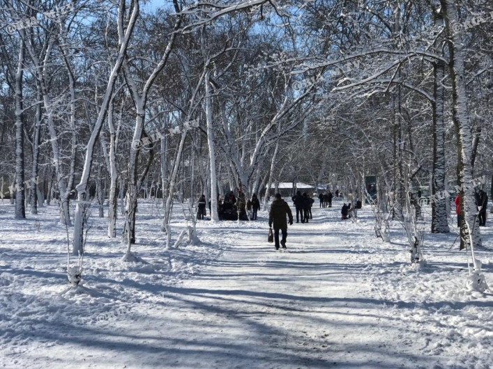 Зимний парк Горького