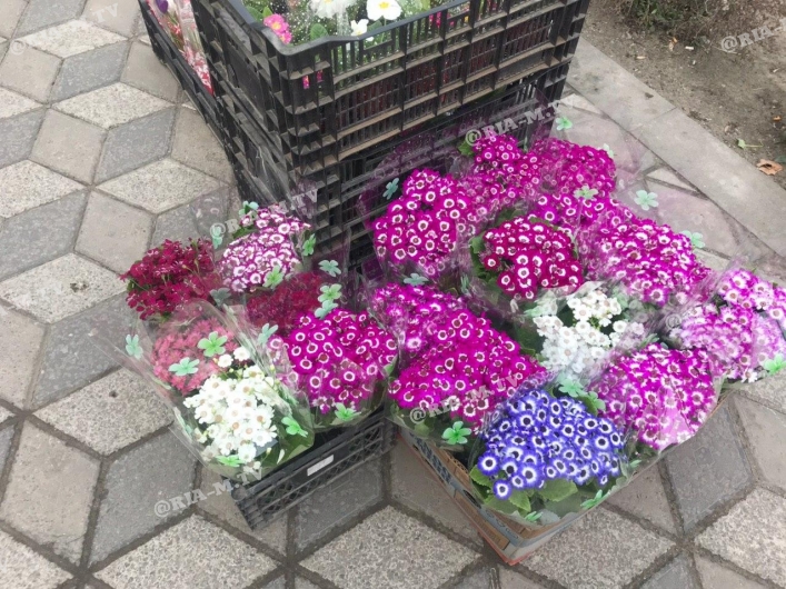 Цветы 8 марта рынок