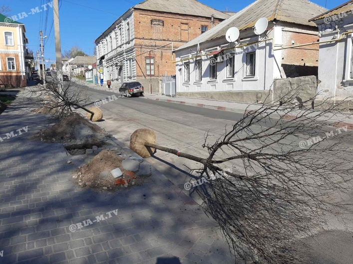 Деревья упали на улице