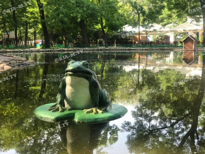 Лягушка в озере в парке Горького