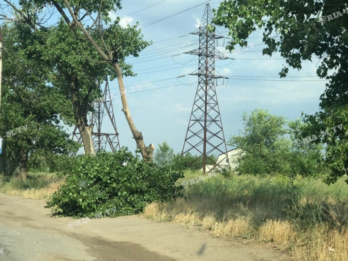 Стихия повалила деревья на дороге