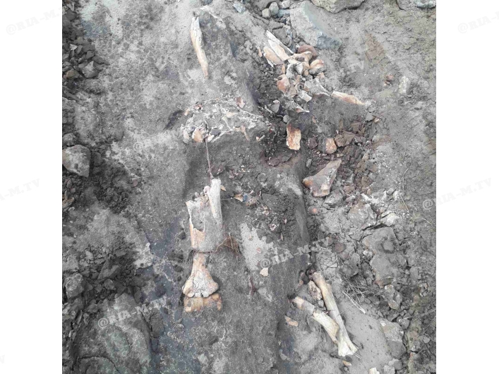 Скелет нашли в яме