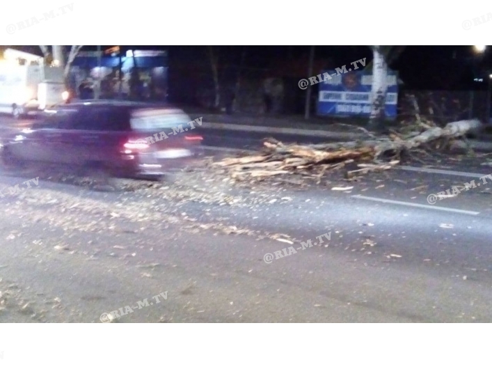 Дерево упало на дорогу