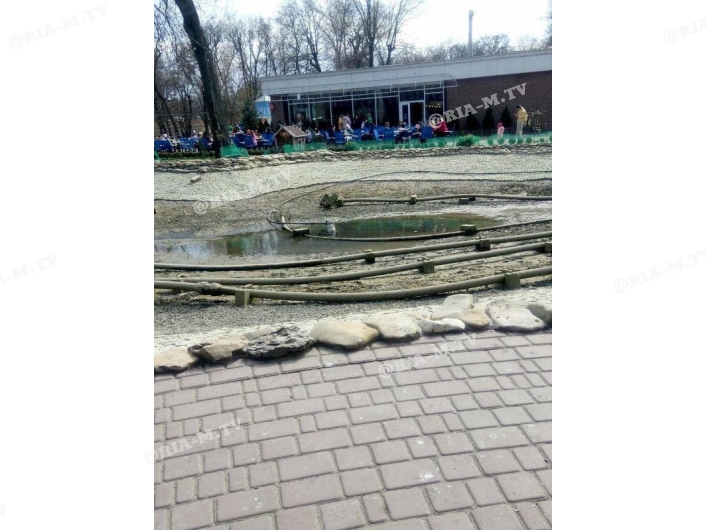 Высохший пруд в парке Горького