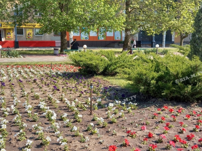 Высадили цветы на площади
