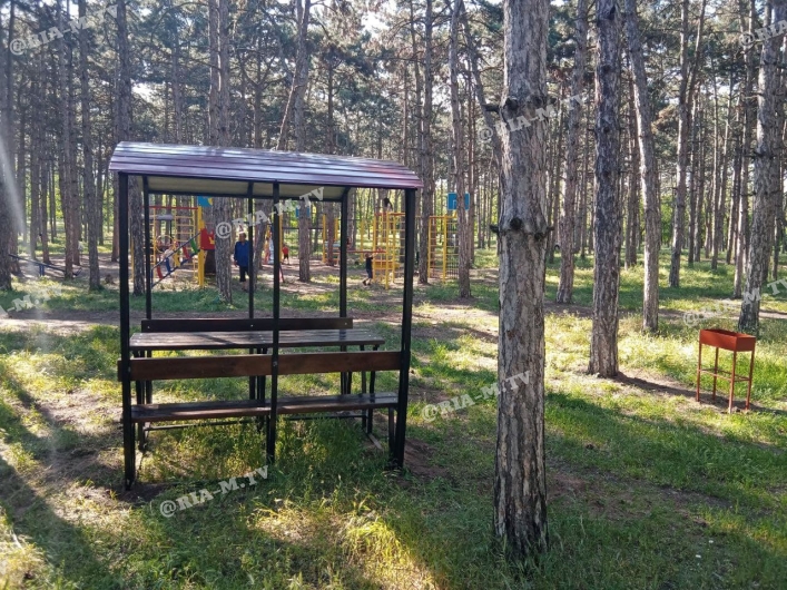 Детская площадка в лесопарке