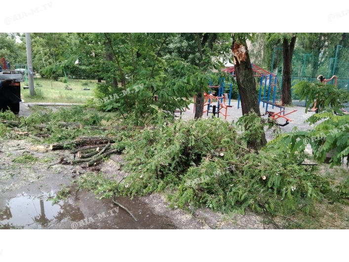 В Мелитополе упали деревья