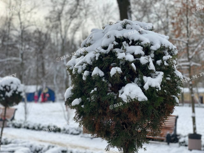 Мелитополь в снегу
