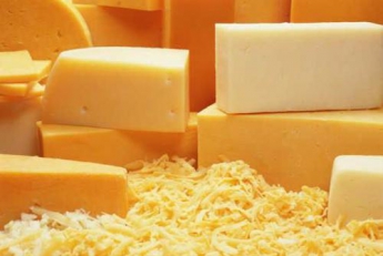 В Мелитополе проверили сыр. Половина торговых марок получила оценку «плохо»
