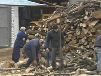 Один из украинских городов отказался от российского газа и перешел на дрова