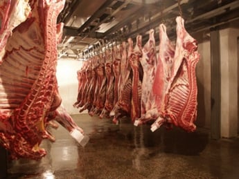 За нарушения при закупке мяса для управления образования на 100 тыс. грн. оштрафовали мелитопольских предпринимателей