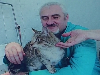 Неравнодушные жители Мелитополя спасли бродячего кота от смерти! Теперь Пегас ищет хозяев!