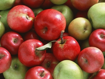 В Мелитополе яблоки стоят дешевле картошки. Садоводы считают убытки