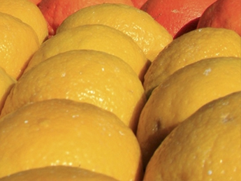 В одну из колоний Харьковской области пришла посылка с наколотыми мандаринами