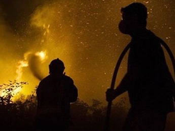 Пожар в Одесской области уничтожил агрофирму