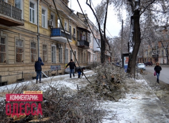 Непогода в Одессе ломала деревья и рвала провода (ВИДЕО)