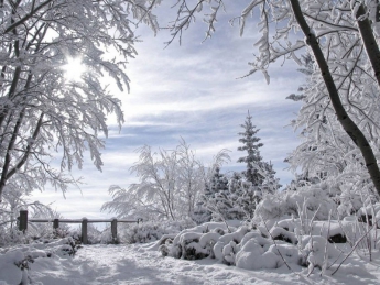 Горожане любят зиму за снег и чистый воздух