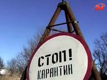 На Луганщине объявили чрезвычайную ситуацию из-за африканской чумы(видео)
