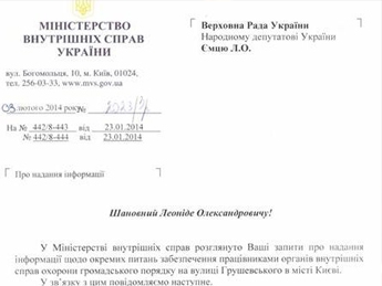 МВД официально отчиталось о вооружении силовиков на Грушевского