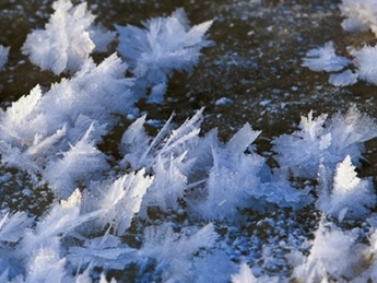 В Финляндии наблюдают уникальное природное явление - "ледяные цветы"(фото)