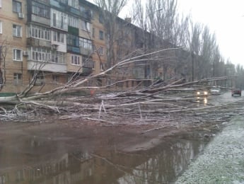 Наделал ветер неудобств и на ул. Крупской (фото)