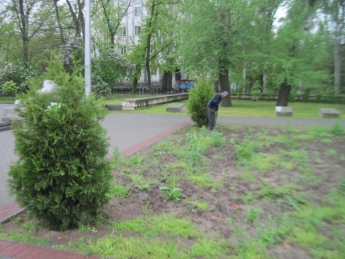 После публикации на сайте начали уборку на Братском кладбище (видео)