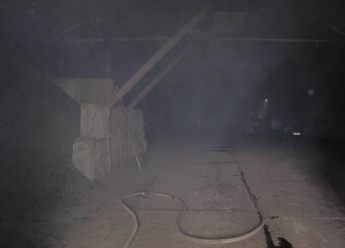 В Запорожском селе загорелась маслобойня (фото)