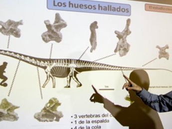 В Аргентине найдены кости самого большого динозавра в мире (фото)