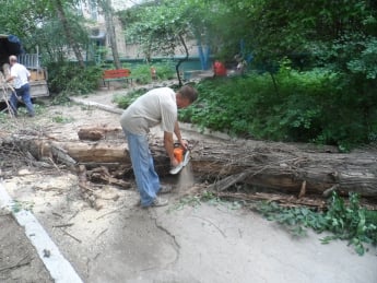 Заброшенный парк в центре города "Народная инициатива" приведет в порядок
