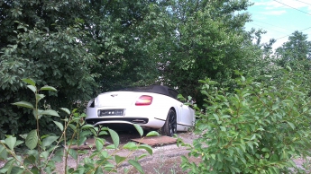В Запорожье ну очень дорогой автомобиль влетел в дерево (фото)