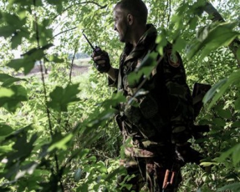 Силовики очистили еще 15 километров территории Донбасса от террористов