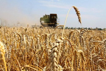 СНБО: В России главы приграничных с Украиной зон поручили фермерам прекратить сбор урожая до 3 августа