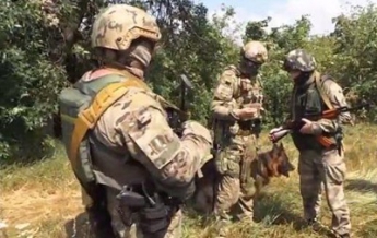 Военные показали, как работает разведка близ Луганска (видео)