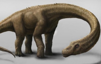 Ученые показали кости гигантского динозавра (видео)