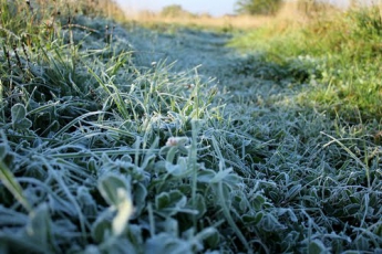 Завтра в Запорожской области ожидают первые заморозки