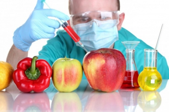Изучение 100 млрд животных показало, что ГМО продукты никак не влияют на здоровье