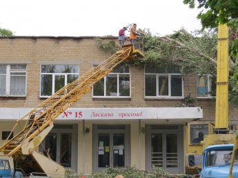 Коммунальщики подъемным краном убирают дерево, упавшее на школу (видео)