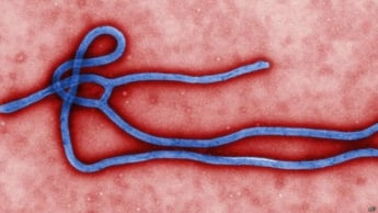 Новые случаи заражения вирусом Эбола за пределами Африки неизбежны, - CDC