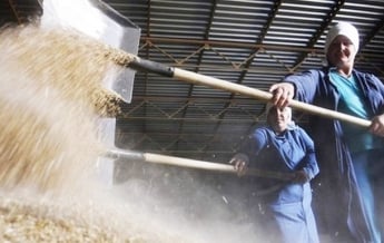 Украина продала за границу 8,6 миллионов тонн зерна