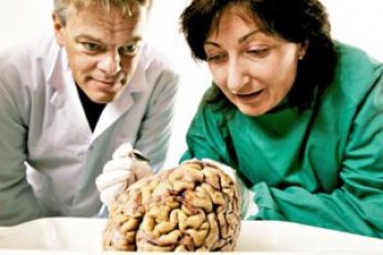 Нобелевскую по медицине присудили за открытие "системы GPS" в мозге