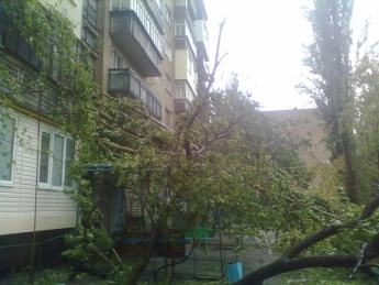 МЧС снова предупреждает о сильном ветре в Запорожской области