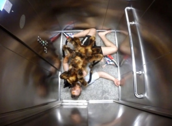 В Польше собака-тарантул наводит ужас на прохожих (видео)