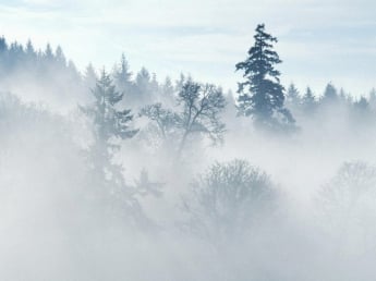 Украину окутает густым туманом - Гидрометеоцентр